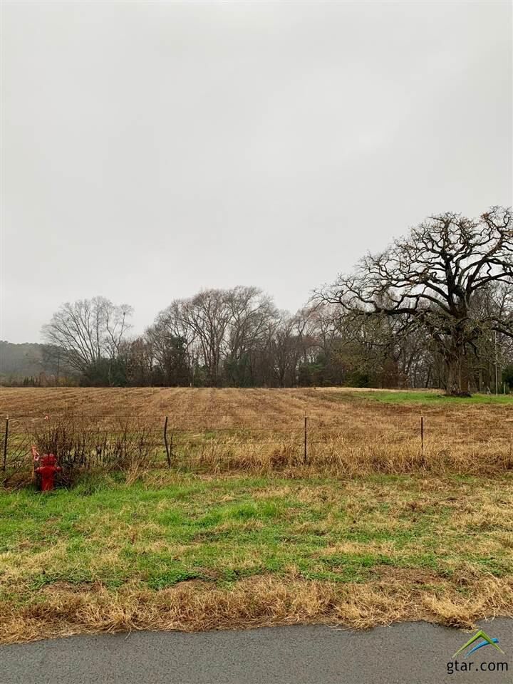 Property Photo:  17867 Cr 498  TX 75771 