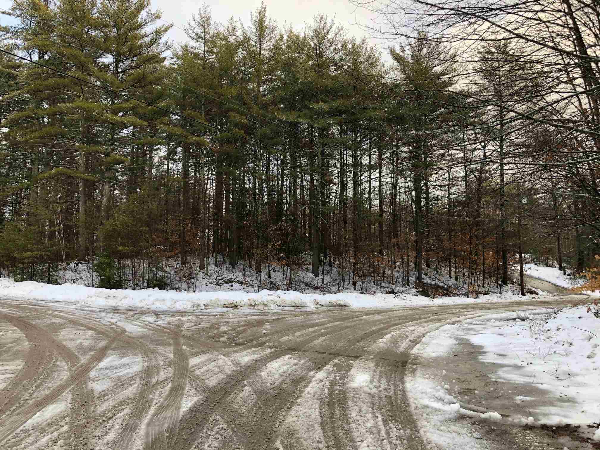 Property Photo:  Lot 39 Deer Run Road Lot 39  NH 03887 