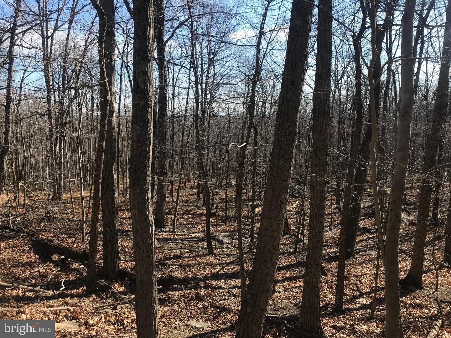Property Photo:  Lot 16 Bluebird Trl  VA 22602 