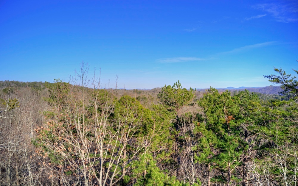 Property Photo:  Lot11 Fox Mountain Crossin  GA 30513 