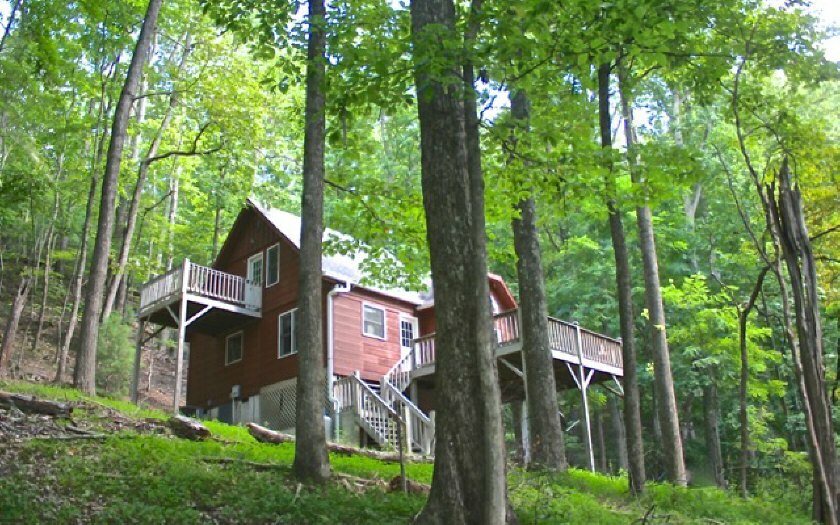 Property Photo:  323 Picklesimer Mountain Trail  GA 30560 