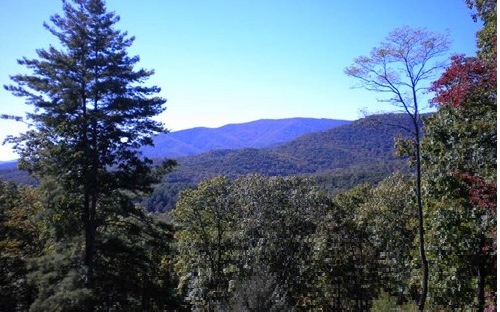 Property Photo:  Lt 15 Big Creek Highlands  GA 30536 