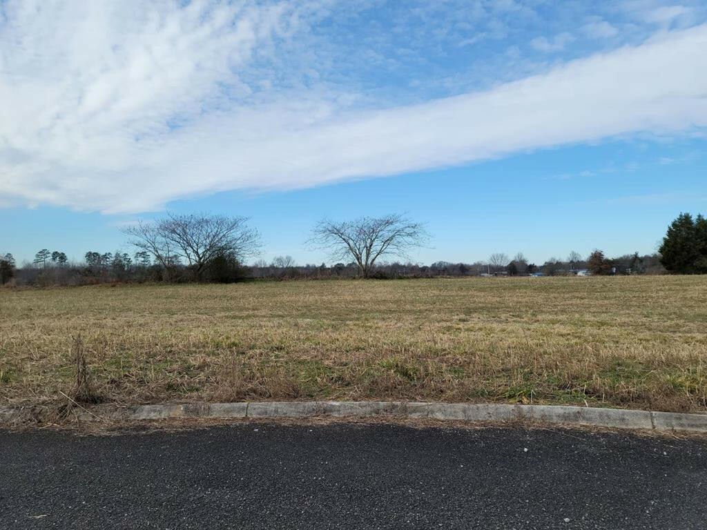 Property Photo: Lot 20 Meadow Lawn Drive TN 37329