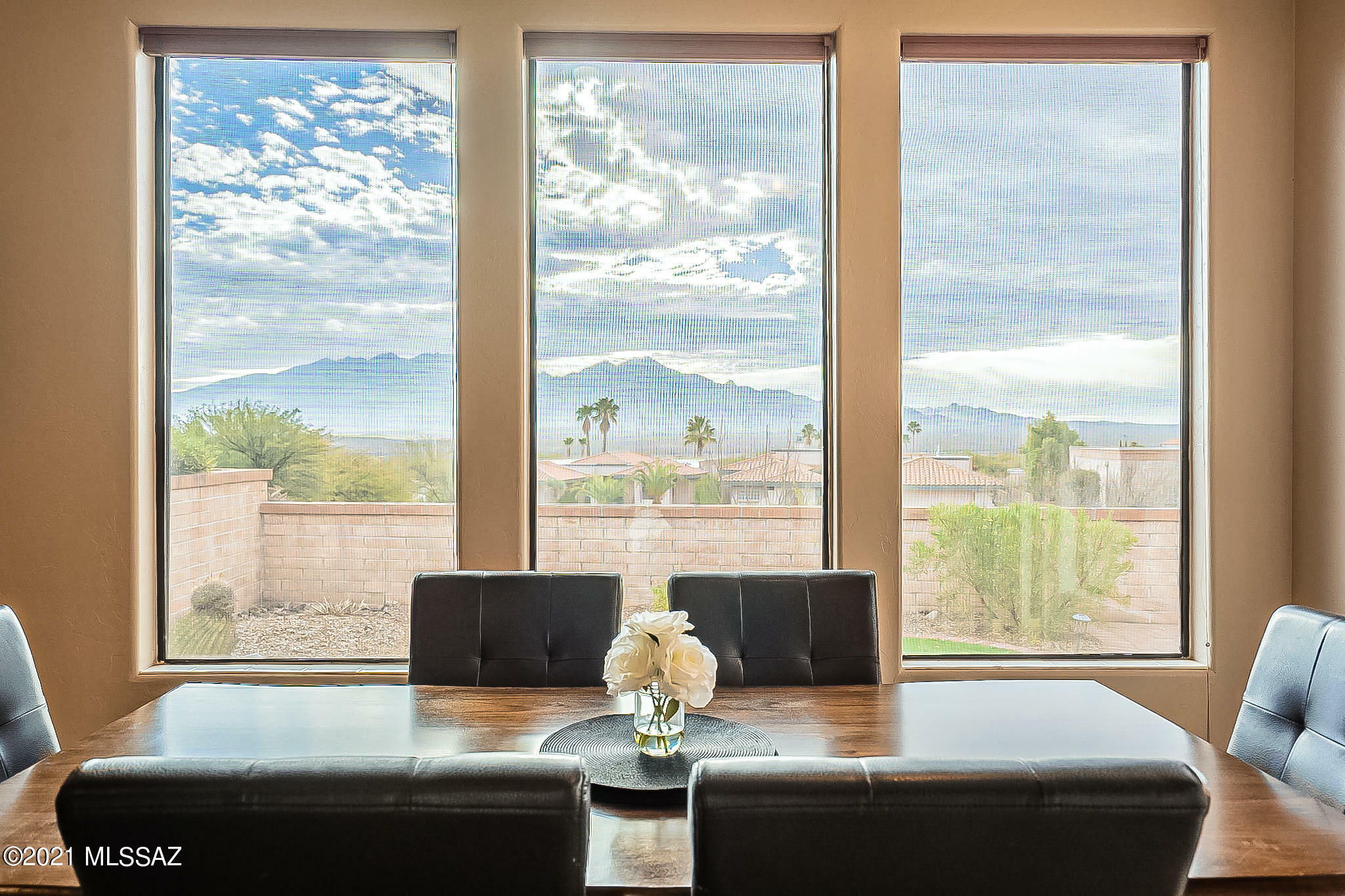 Property Photo: 4193 S Anastacia Court AZ 85622