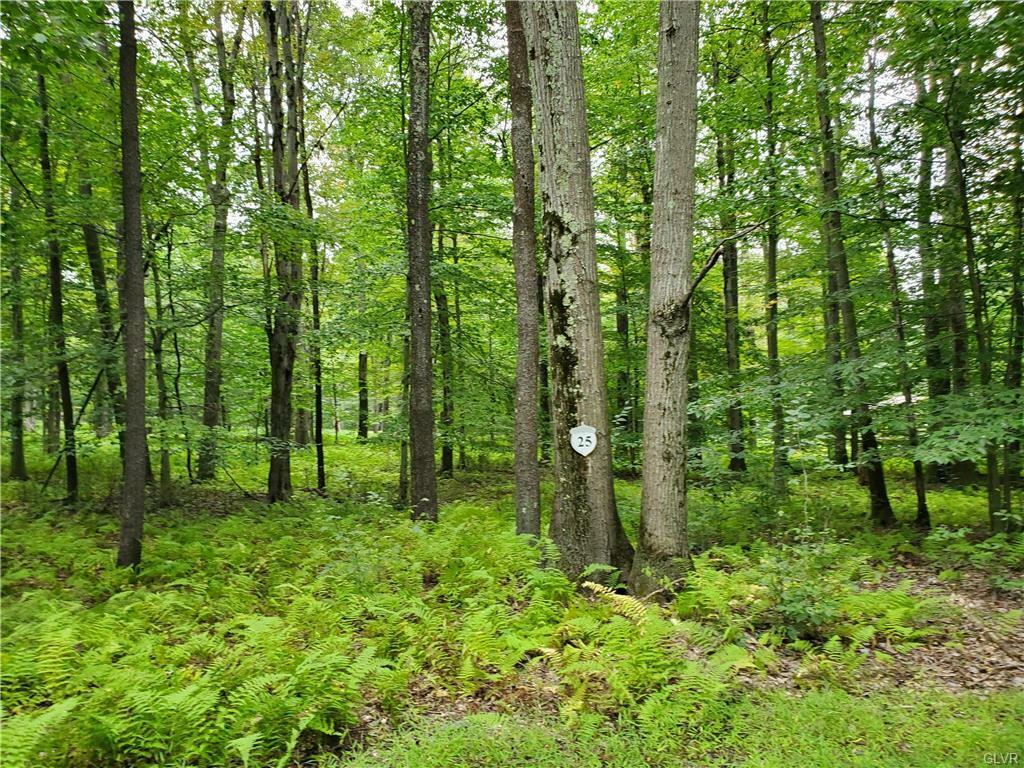 Property Photo:  25 Oak Leaf Lane Lot 25  PA 18347 