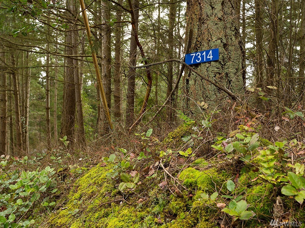 Property Photo:  7314 Holiday Blvd  WA 98221 