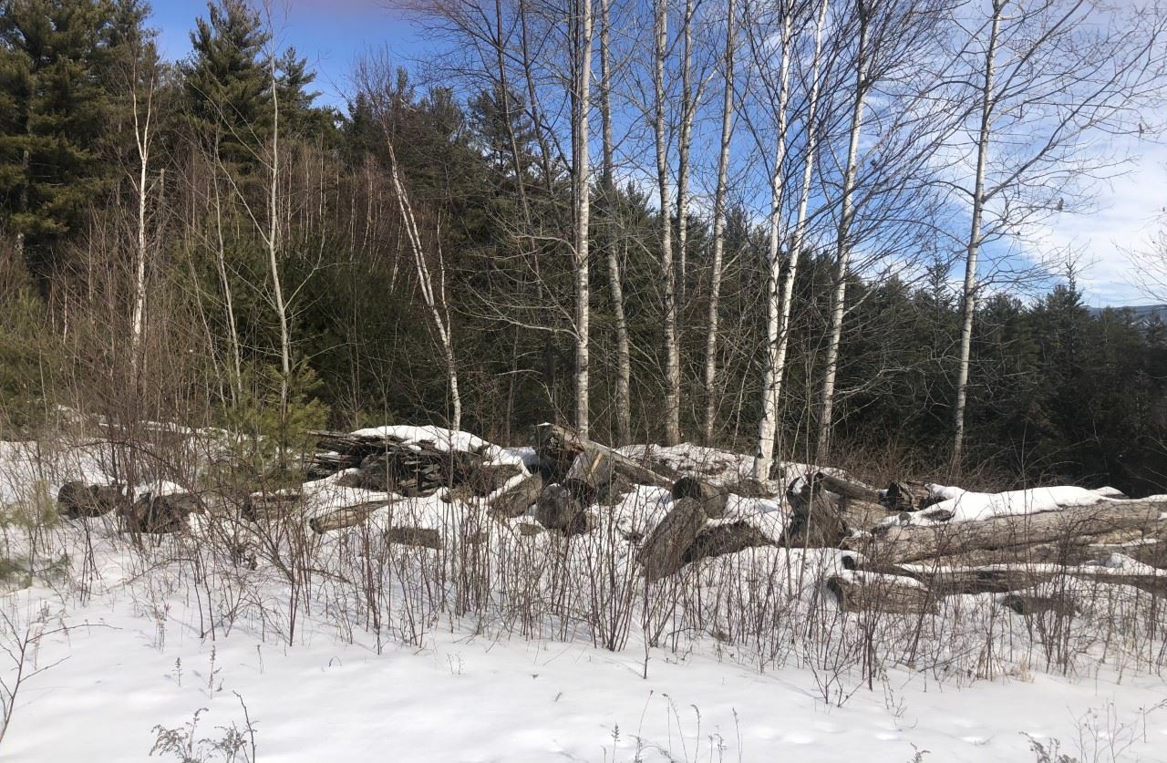 Property Photo:  00 Stone Dam Road  NH 03285 