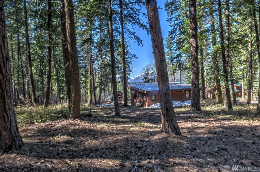 Property Photo: 39 Timberline Lane WA 98862