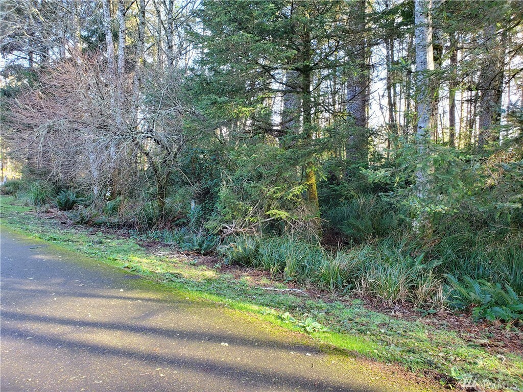 Property Photo:  281 Pearsall St SE  WA 98569 