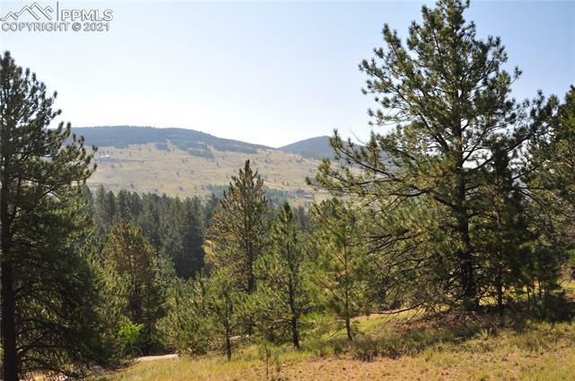 Property Photo:  56 Red Cloud Circle  CO 80813 