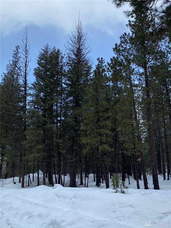 Property Photo:  Xx Rock Rose Rd  WA 98862 