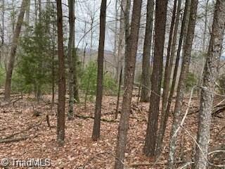 Property Photo:  131 View Point Drive  NC 28685 