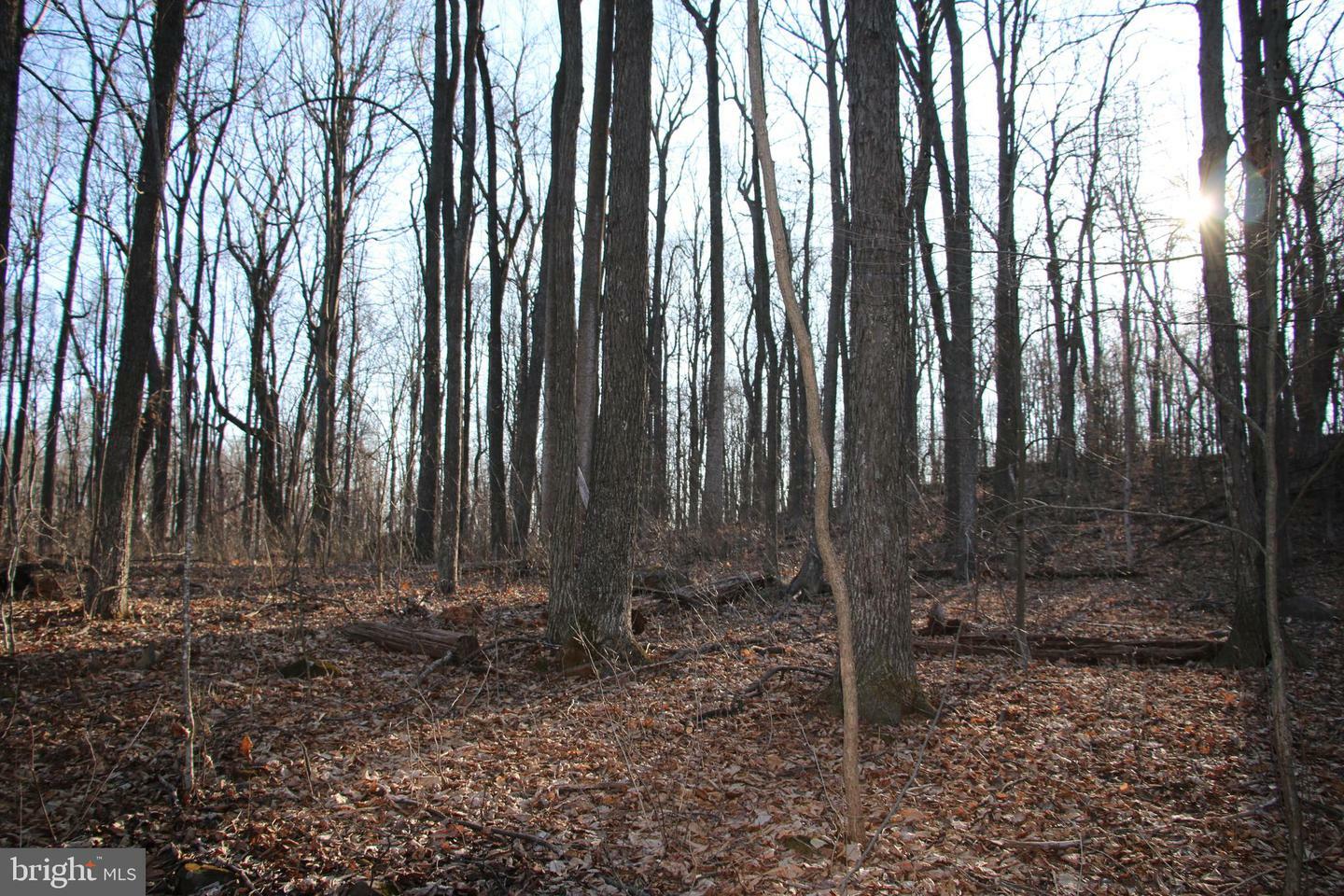 Property Photo:  Forest Drive  VA 22630 