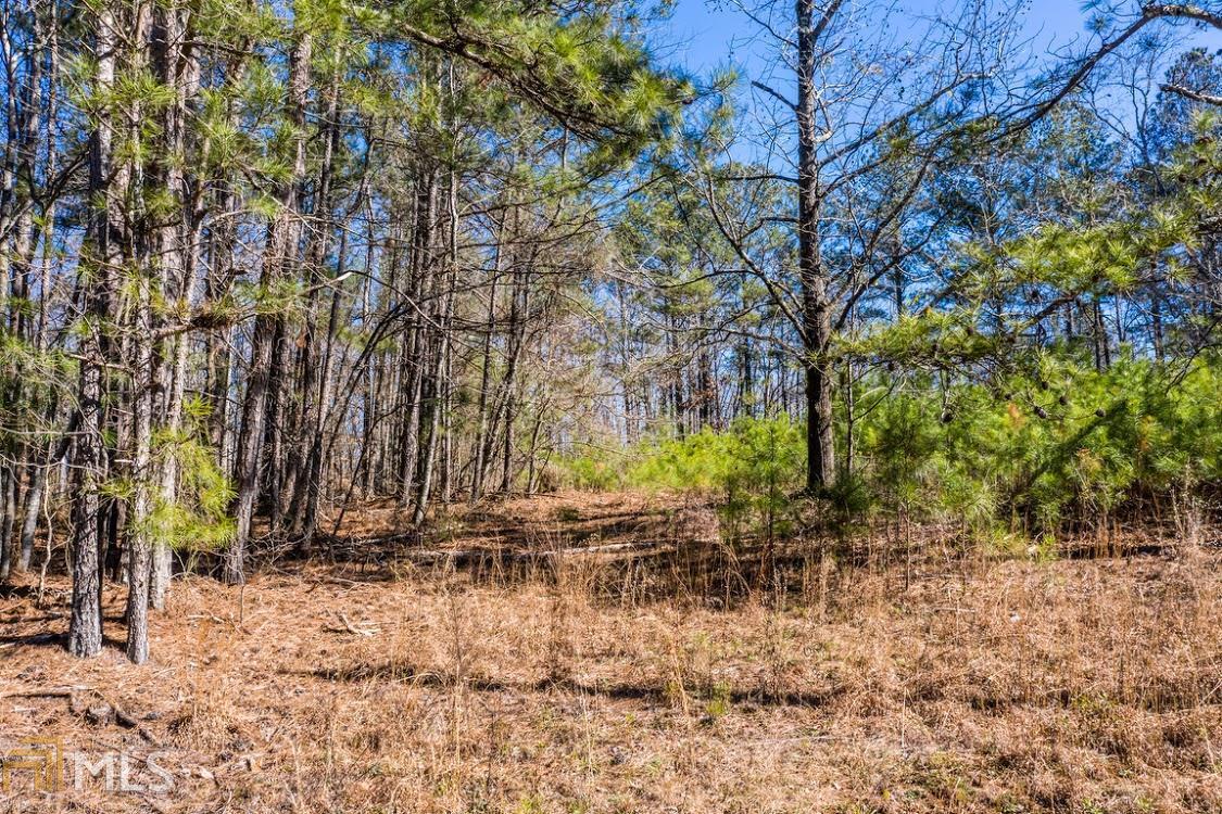 Property Photo: 0 Maple Hill Rd GA 30117