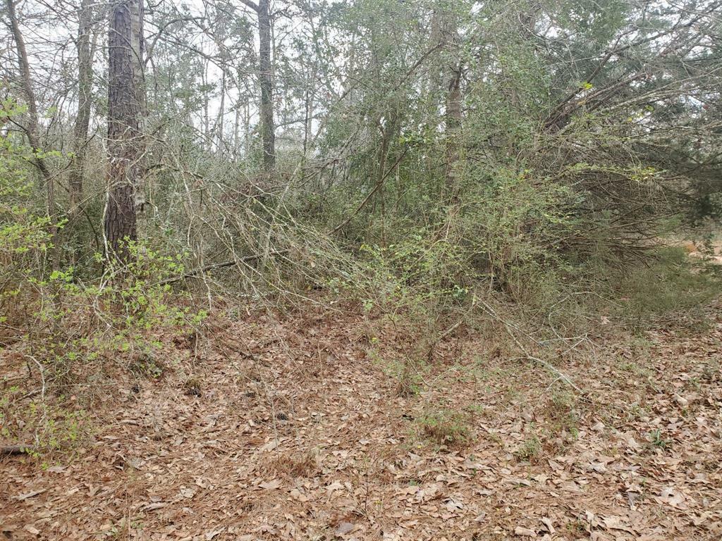 Property Photo:  Lot 299 Callie Drive  TX 77445 