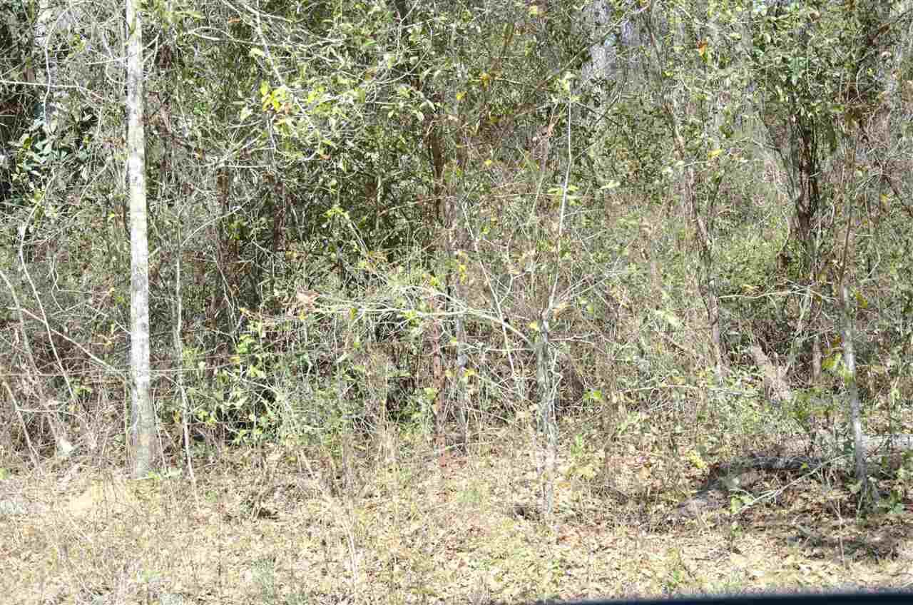 Property Photo: 0 Quail Valley Road FL 32309