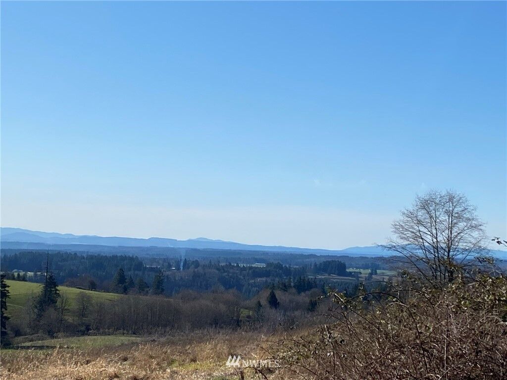 Property Photo: 441 Schoen Road WA 98564
