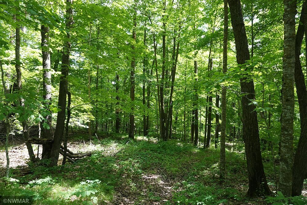 Property Photo: Tbd Shorewood Court NW MN 56601