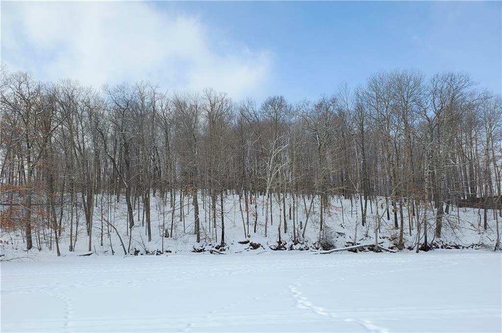 Property Photo:  Lot 1 Cty Hwy Dd  WI 54817 