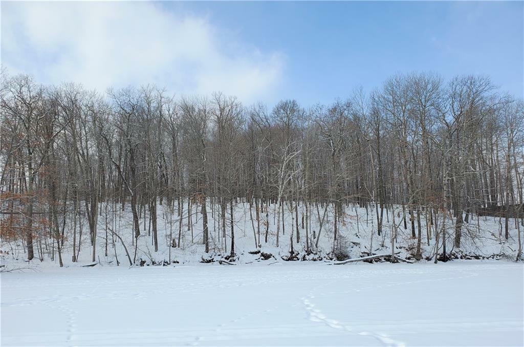 Property Photo: Lot 1 Cty Hwy Dd WI 54817