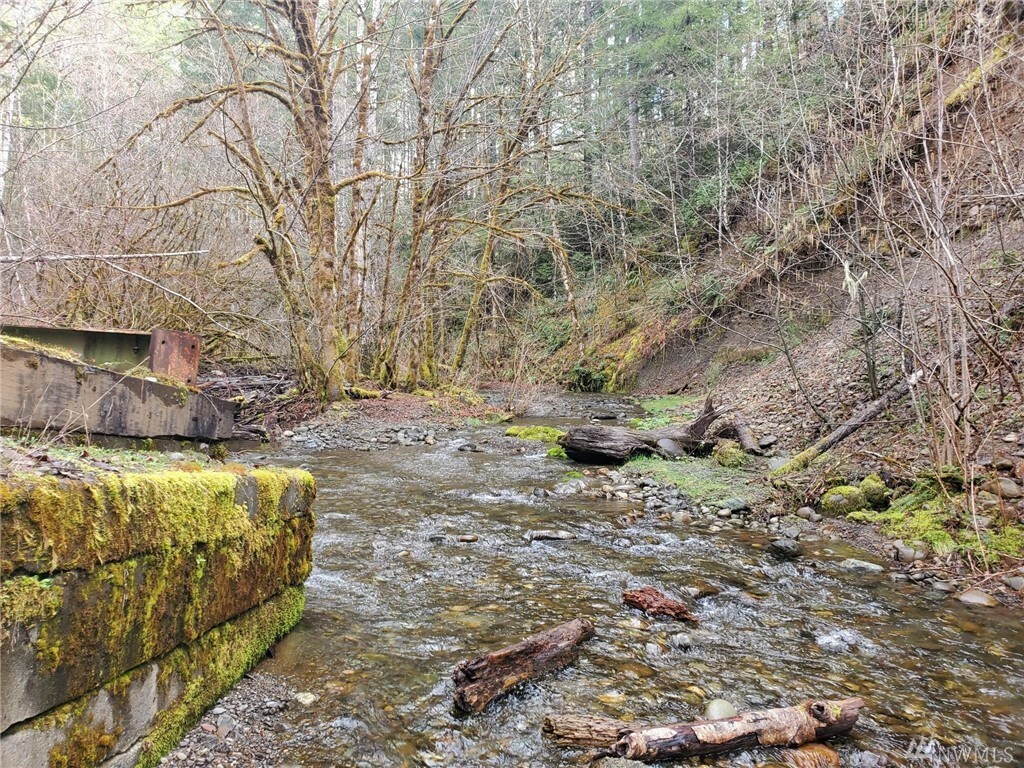 Property Photo: 0 Unknown WA 98548