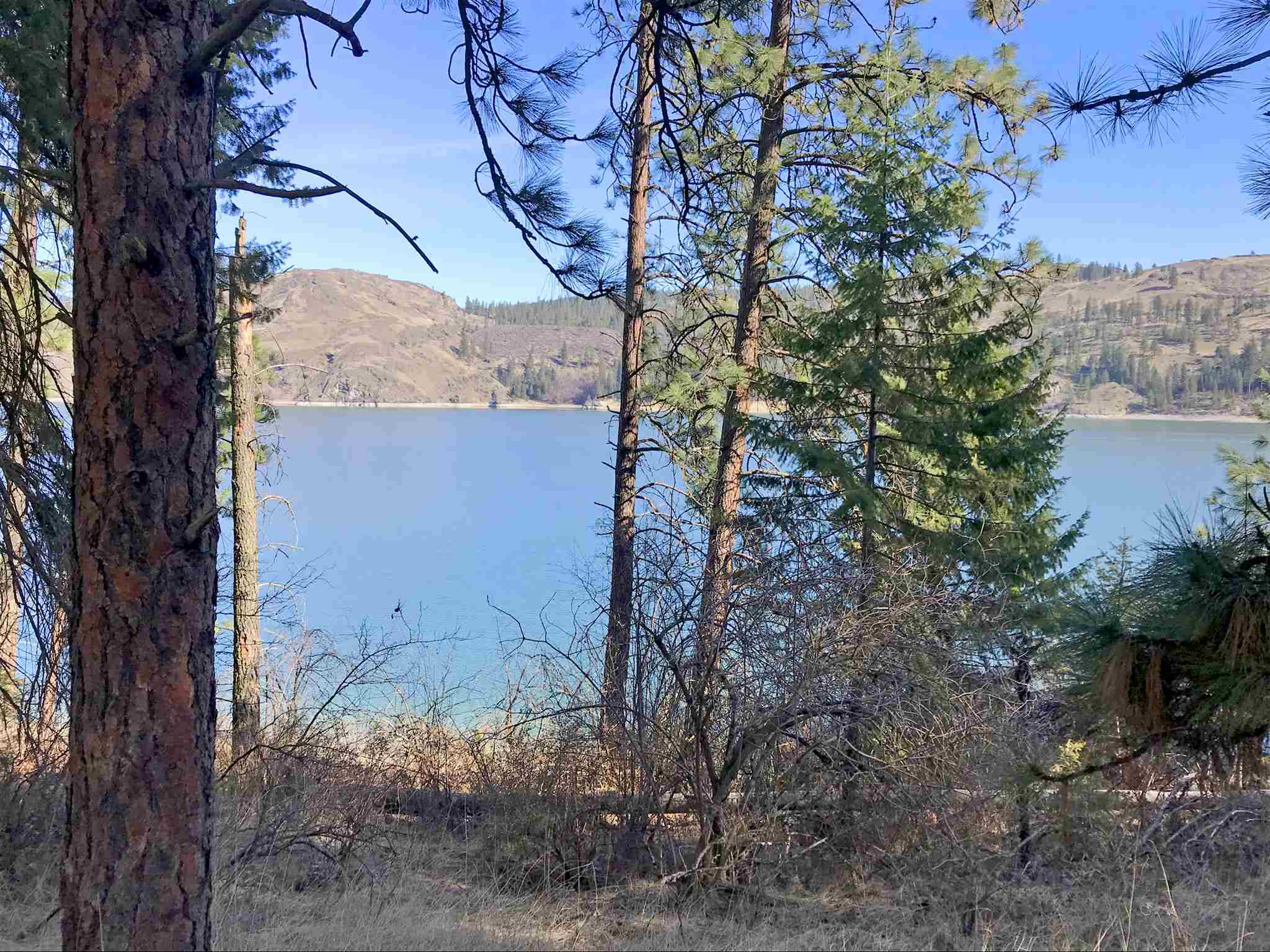 Property Photo:  Lot 2 Porcupine Bay Rd N  WA 99122 