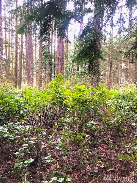 781 Pavey Blvd  Lopez Island WA 98261 photo