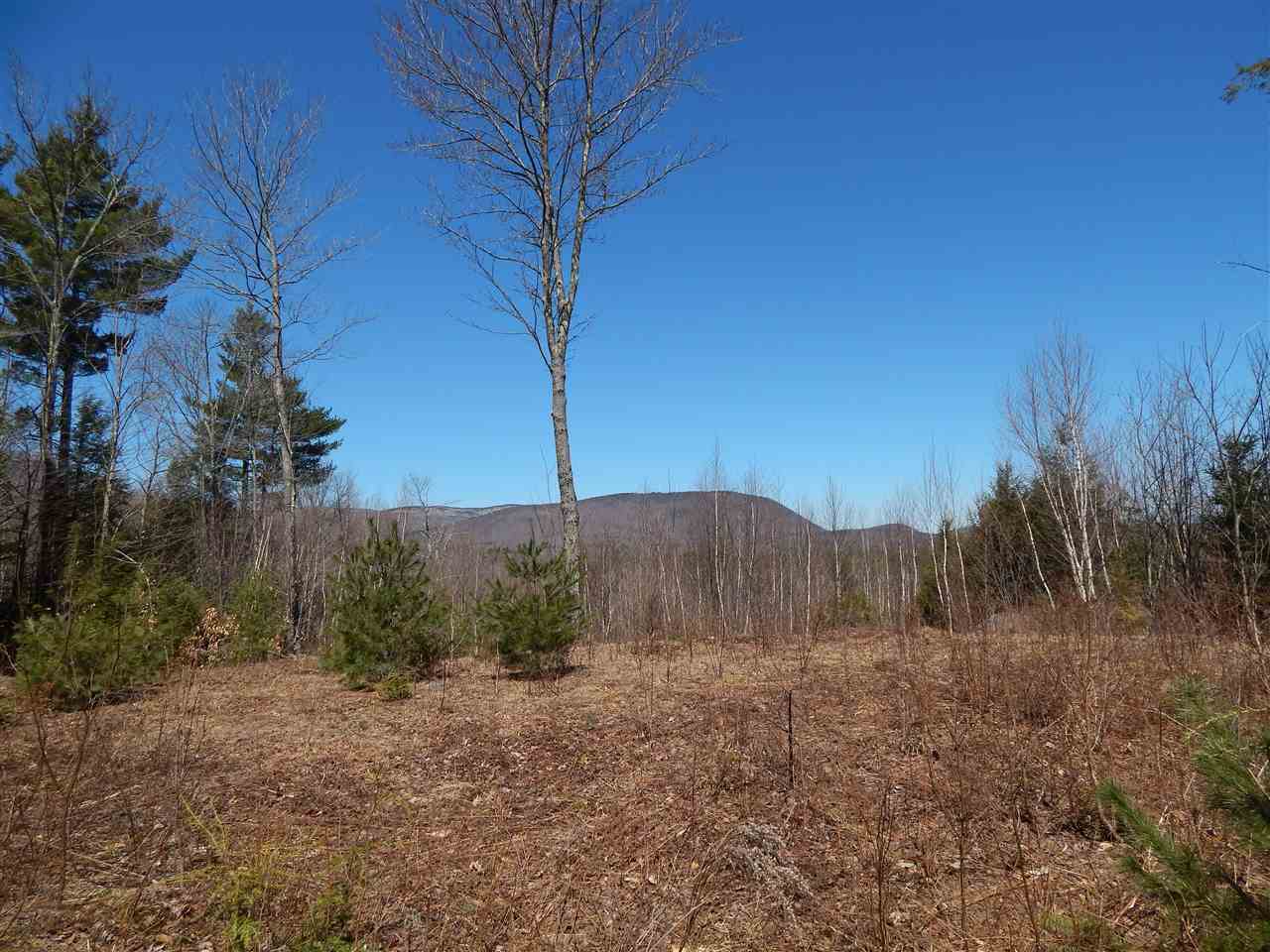 Property Photo:  Lot #10 North Ridge Road  NH 03221 