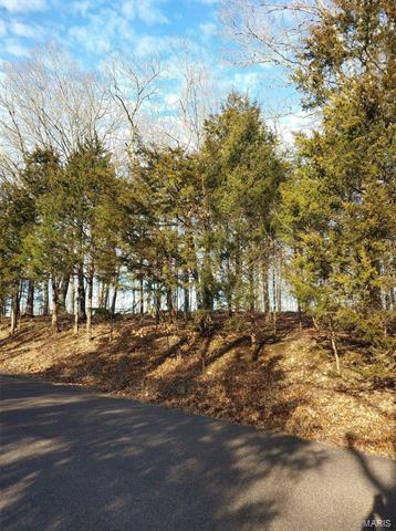 Property Photo: 1602 Marion Drive 63357