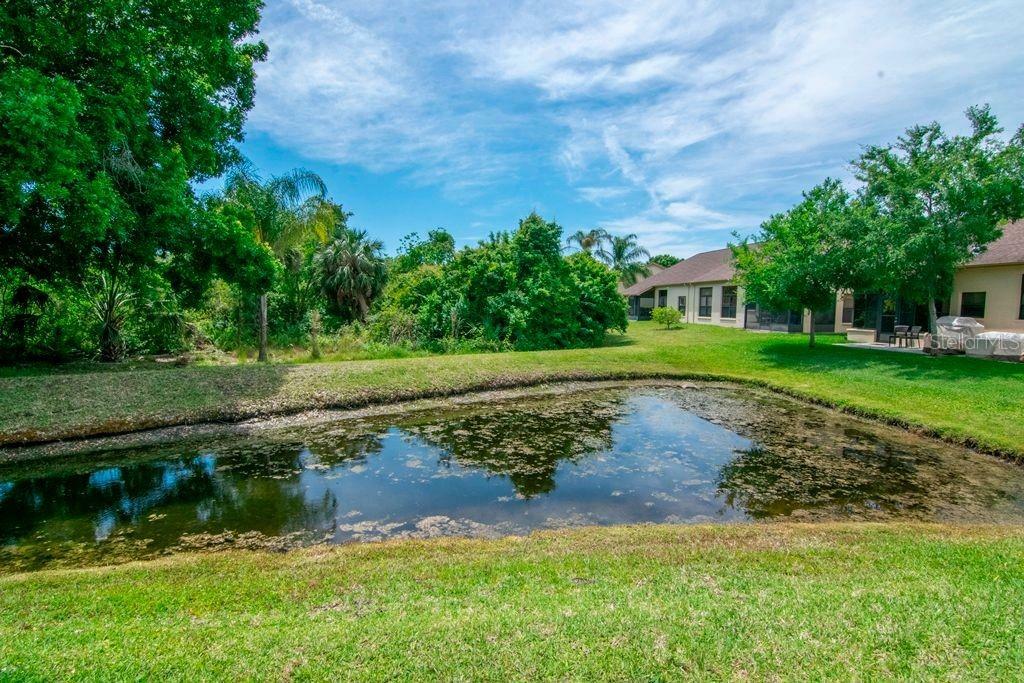 Property Photo: 6135 Pine Lawn Way FL 34655