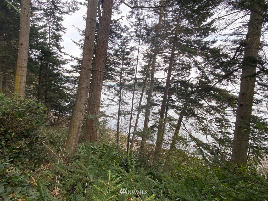 Property Photo:  0 Lot 4 Fauntleroy Point Dr.  WA 98221 