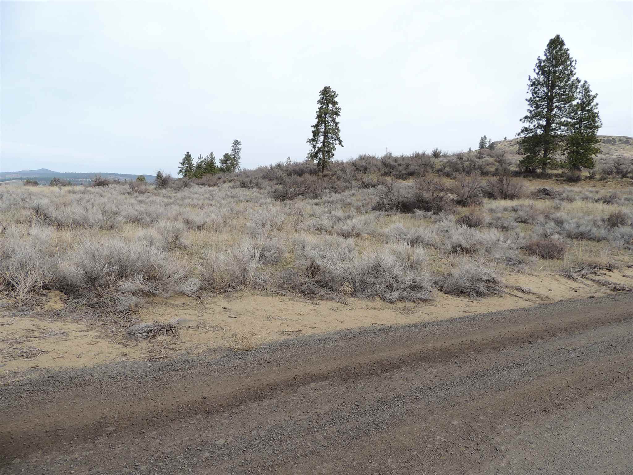 Property Photo: 42260 Deer Heights Dr N Lot 50 WA 99122