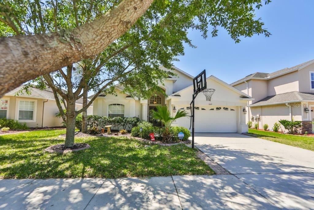 Property Photo:  11419 Flora Springs Drive  FL 33579 