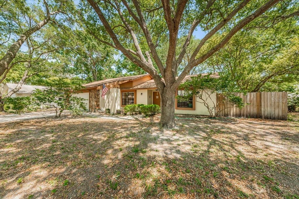 Property Photo:  445 Oak View Terrace  FL 34684 