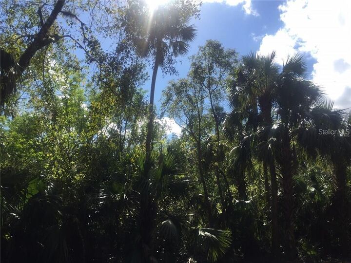 Property Photo:  7327 Riverton Circle  FL 33981 