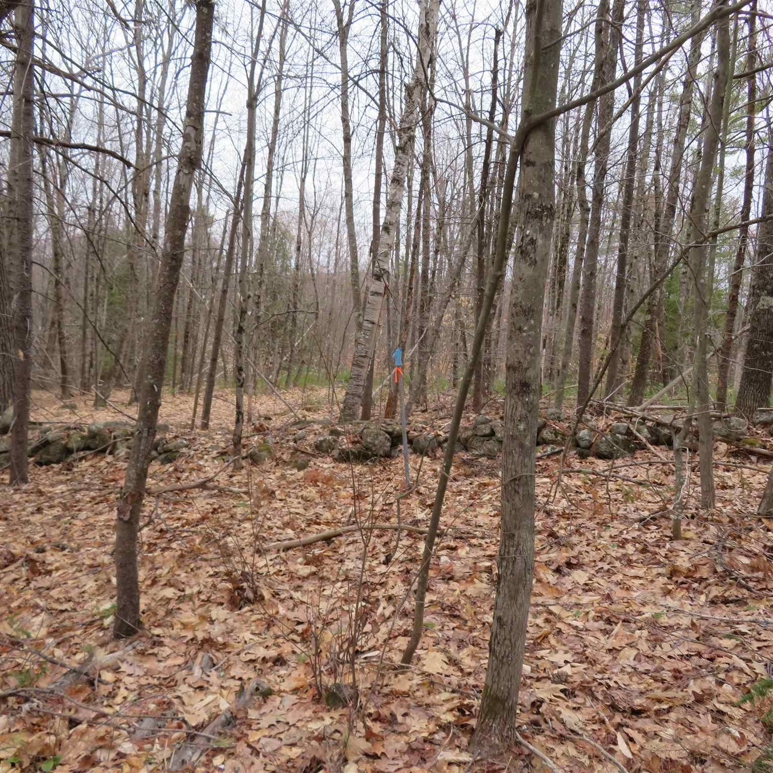 Property Photo:  Lot #9 Lot #10 Neal Hill Road  NH 03816 
