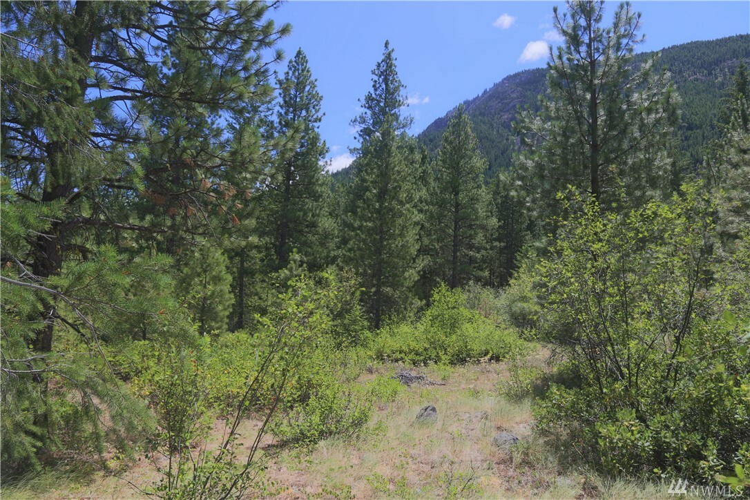 Property Photo:  19 Evergreen Wy  WA 98862 