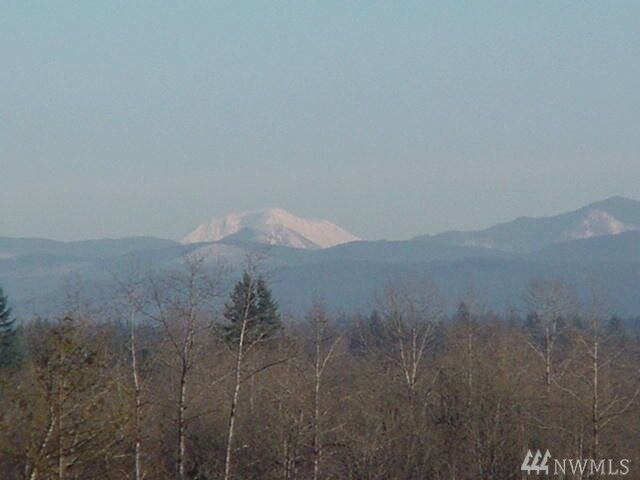 Property Photo:  0 Lot 3 Volcano Lane  WA 98532 
