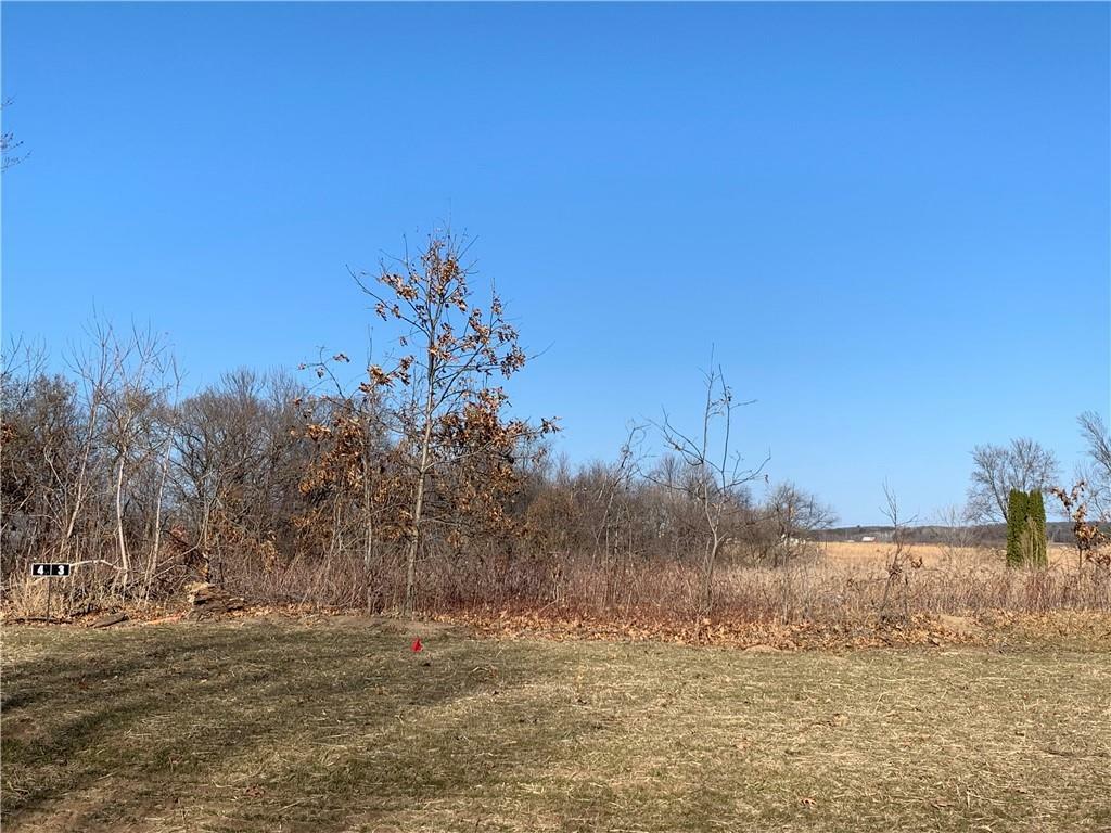 Property Photo: Lot 07 Cottonwood Circle WI 54701