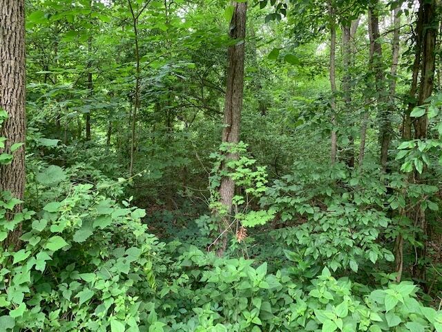 Property Photo:  Lot 1 And 2 Kuebler Road  IN 47720 