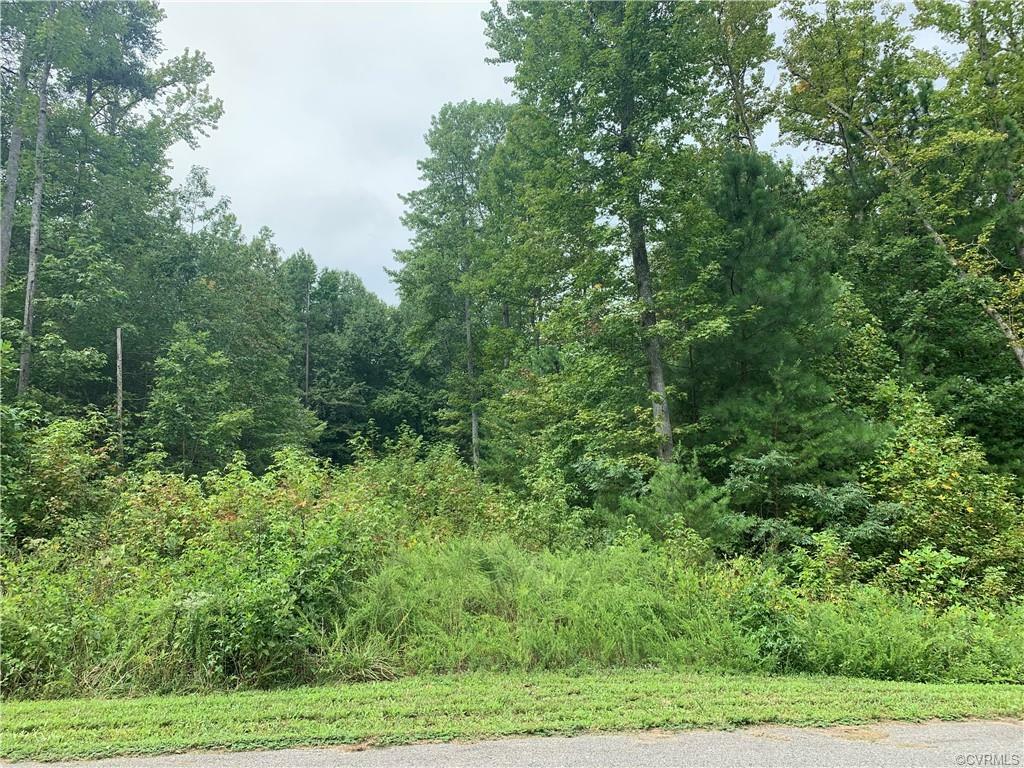 Property Photo:  Lot 10 Evergreen Dr  VA 23002 