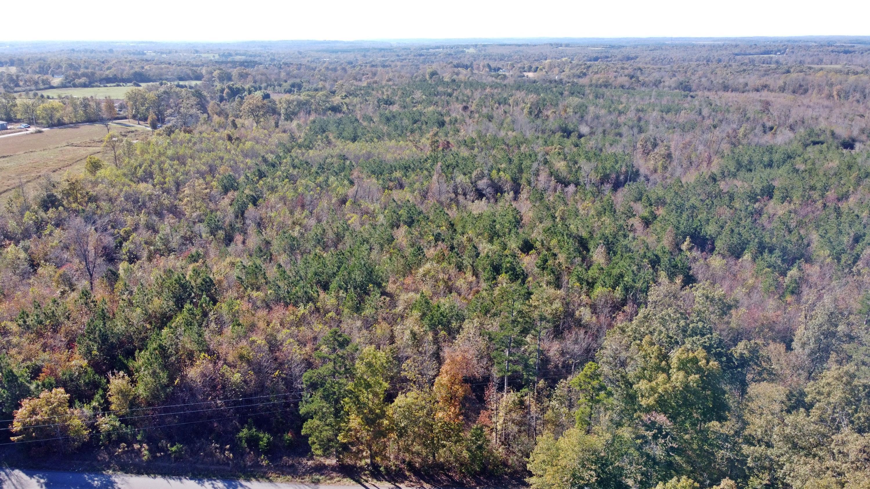 Property Photo: 0 County Road 784 AL 35966