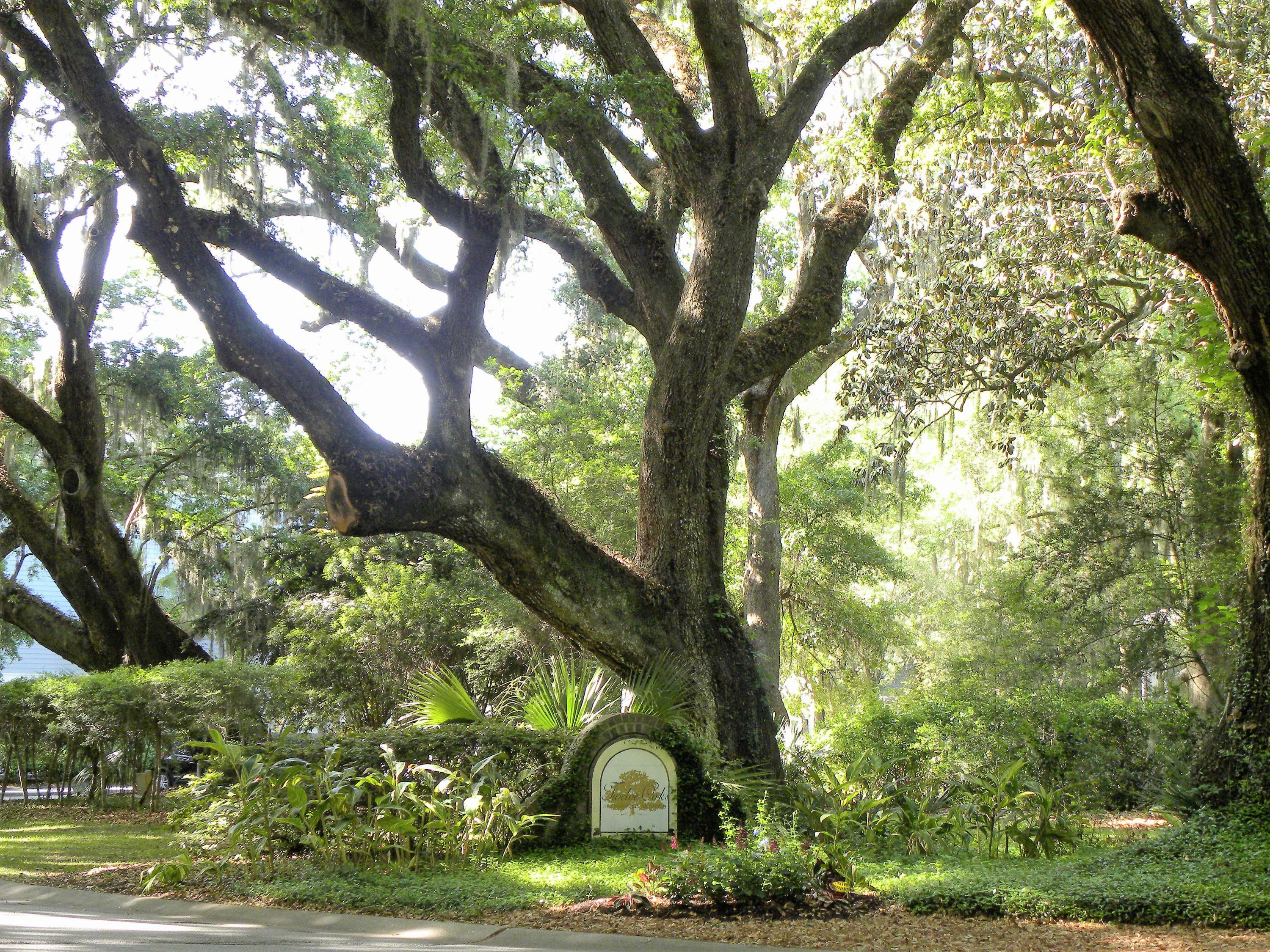 Property Photo:  60 Fenwick Hall Allee 327  SC 29455 