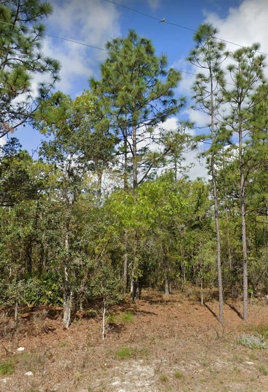 Property Photo:  16021 Man O War Road  FL 34614 