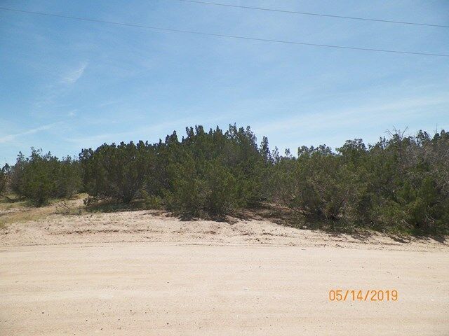 Property Photo: 0 Belmont Road CA 92344