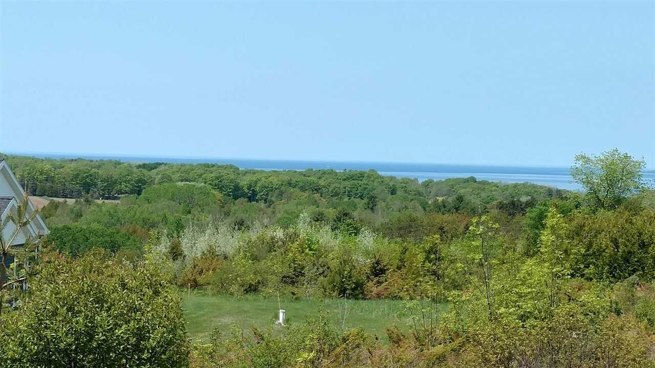 Property Photo: 670 Homestead MI 49770