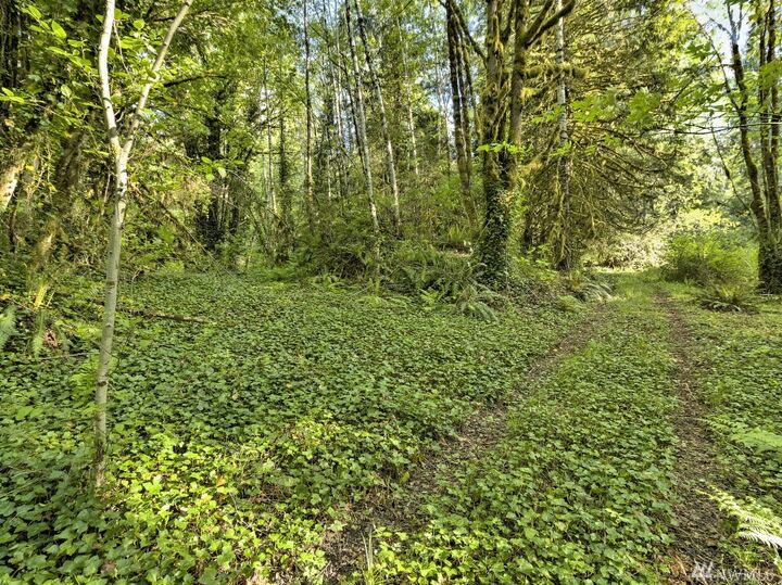 Property Photo:  0 E State Route 106  WA 98528 