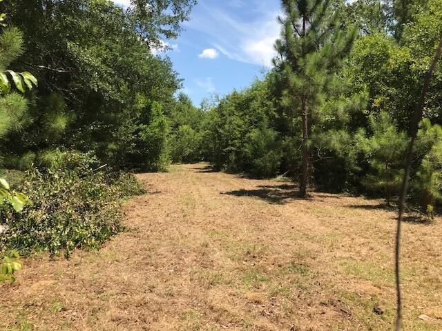 Property Photo:  Wedgefield Rd  SC 29154 