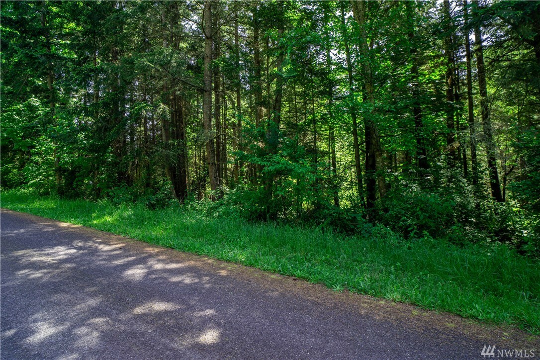 Property Photo: Lot 2 Durr Rd WA 98282