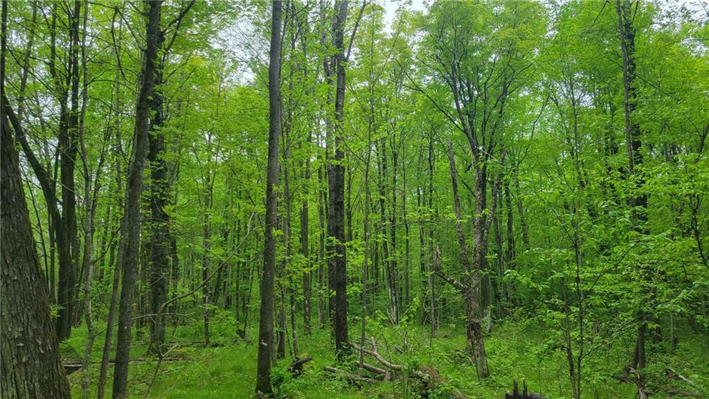 Property Photo: Lot 9 Lucky Buck Boulevard WI 54828